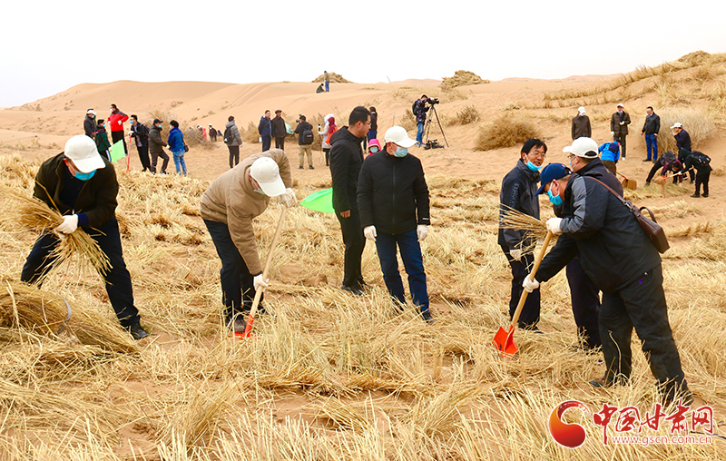 不“疫”樣的植樹(shù)節(jié)！甘肅省新聞戰(zhàn)線工作者攜手播綠“八步沙”（圖+視頻）