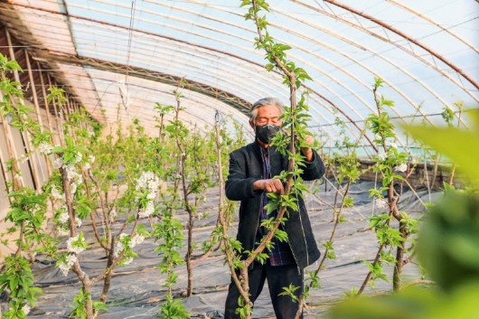 銅城復(fù)蘇：春光明媚，邀你共賞芳華（組圖）