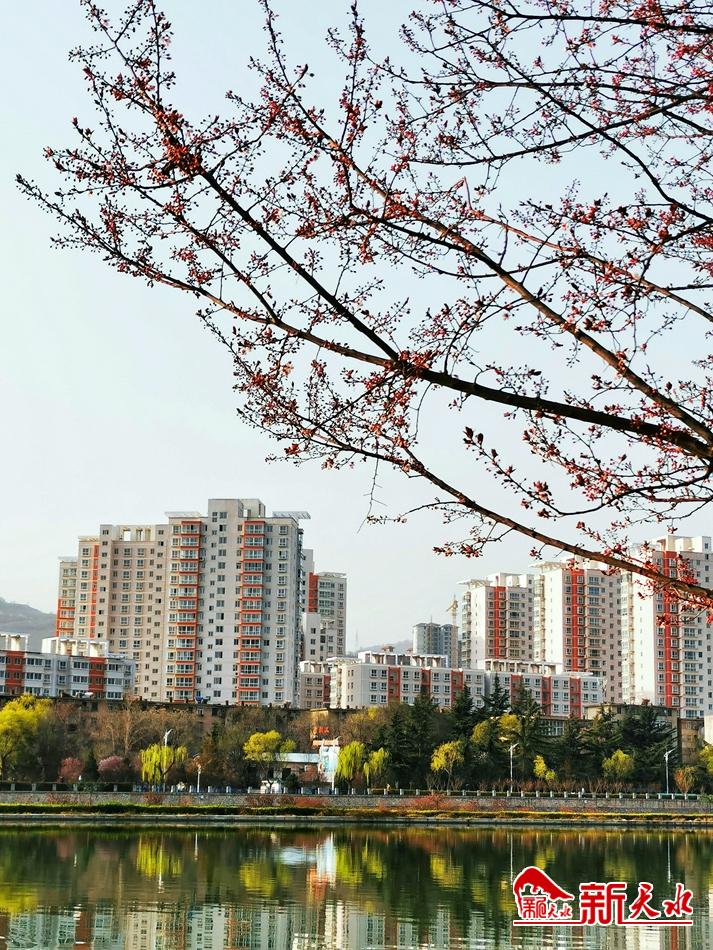 春天，古城天水的十個美麗瞬間