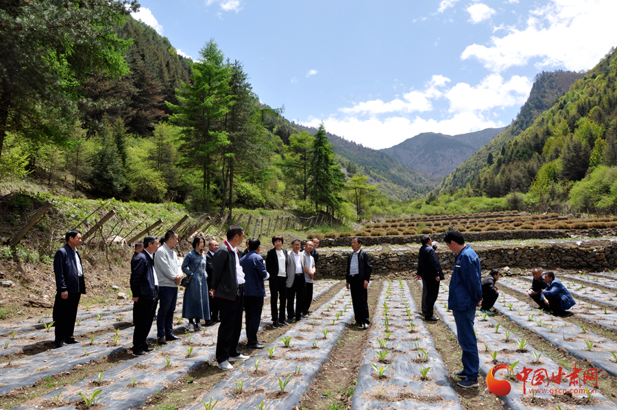 白龍江博峪河保護(hù)局開展產(chǎn)業(yè)發(fā)展、義務(wù)勞動(dòng)成果現(xiàn)場觀摩交流活動(dòng)