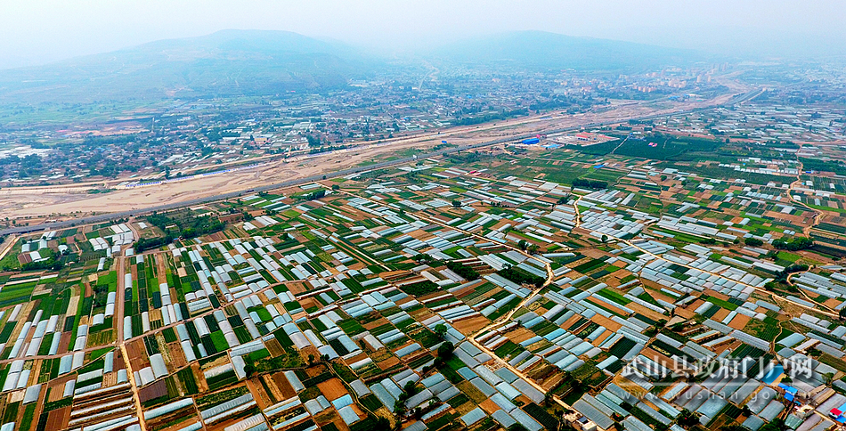 【為民情懷】武山：加快促進產業(yè)升級 實現(xiàn)縣域經(jīng)濟發(fā)展與民生福祉互動共贏