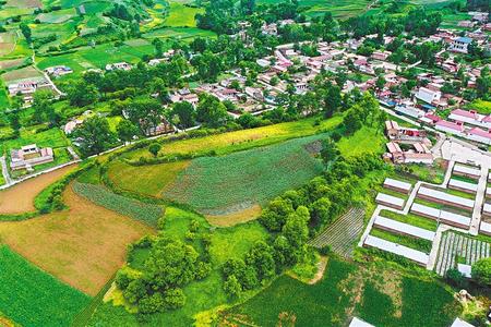 【溫暖的回響 滄桑巨變 飲水思源】這條路，通往幸福