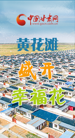 【跟著總書記看甘肅】長圖|武威黃花灘盛開幸?；?