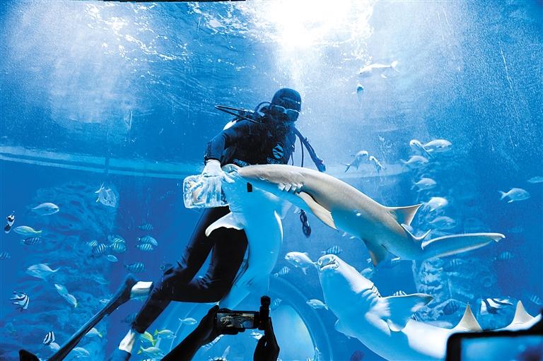 蘭州海洋公園 金昌火星1號(hào)基地 這個(gè)暑假我們“上天入?！?>
        </a><em>蘭州海洋公園 金昌火星1號(hào)基地 這個(gè)暑假我們“上天入?！?/em></li>
    <li><a  target=