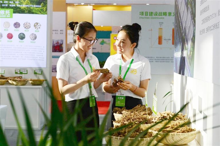 定西，從“千年藥鄉(xiāng)”邁向“中國藥都”