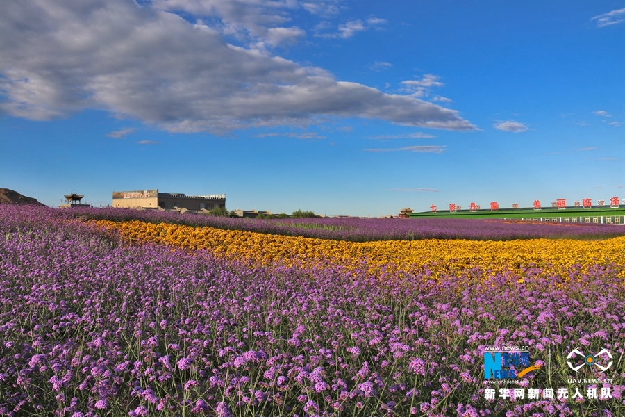 【“飛閱”中國(guó)】鳳凰花?！罢钩帷钡は伎?>
        </a><em>【“飛閱”中國(guó)】鳳凰花?！罢钩帷钡は伎?/em></li>
    <li><a  target=