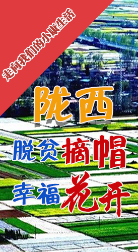 【走向我們的小康生活】長圖|隴西：脫貧摘帽 幸?；ㄩ_