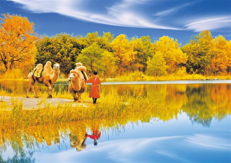 國慶長假，去金塔遇見最美胡楊