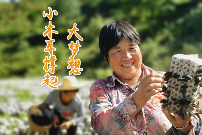 海報丨他們，乘“豐”破浪！