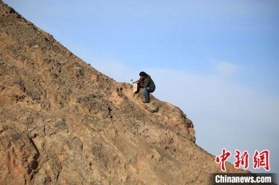 圖為敦煌“80后”畫家張杰龍在敦煌三危山里采集礦石顏料。(資料圖)受訪者供圖