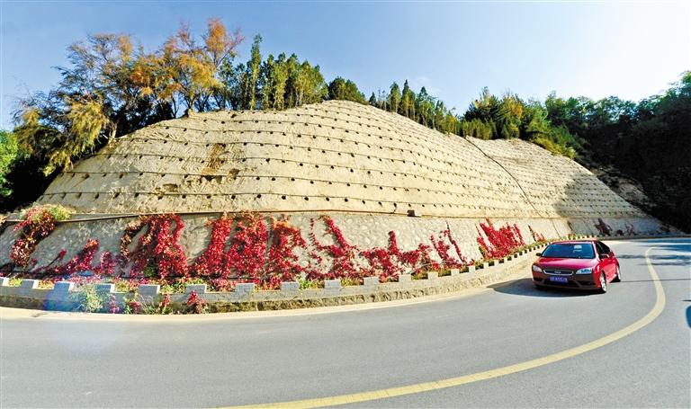 近90度陡坡上種樹(shù)！蘭州南北兩山綠化出新招