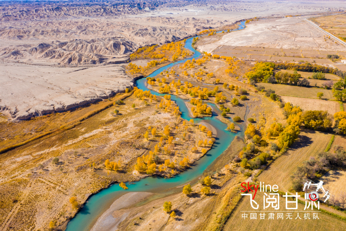 【飛閱甘肅】好美！疏勒河畔大地斑斕
