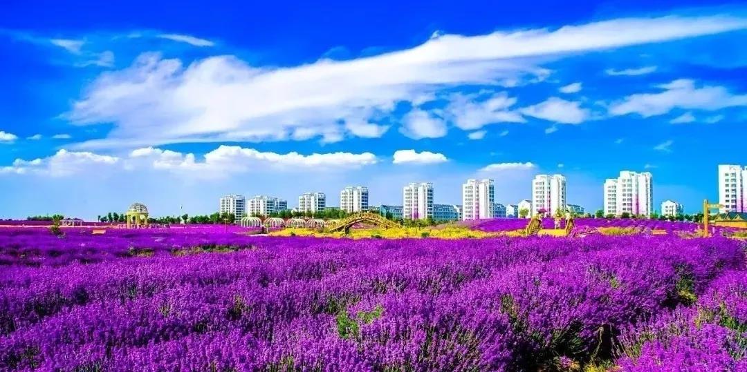 喜訊！金昌蟬聯(lián)全國文明城市