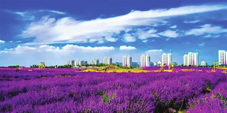 “三連冠”！金昌蟬聯(lián)全國文明城市