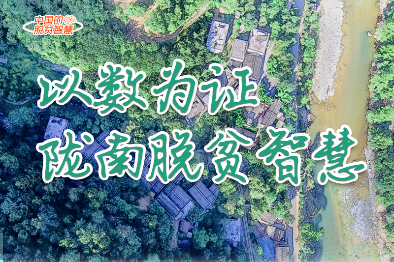 【中國(guó)的脫貧智慧】以數(shù)為證！隴南脫貧智慧來(lái)了！