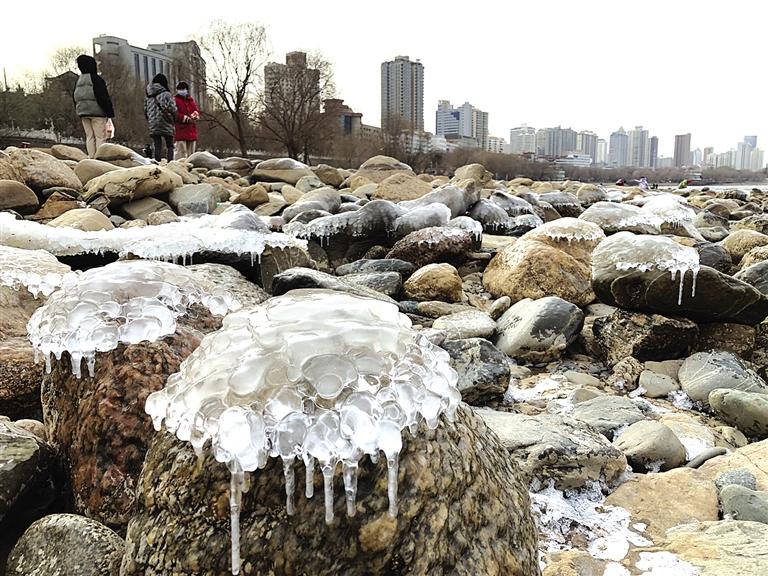 蘭州：水母上河灘？