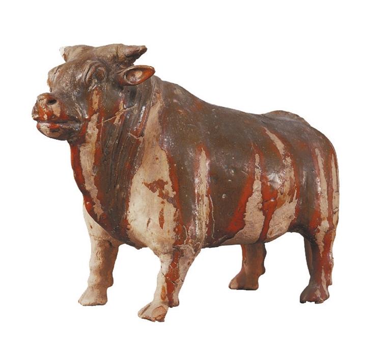 打開眼界丨牛年看牛，越看越牛!