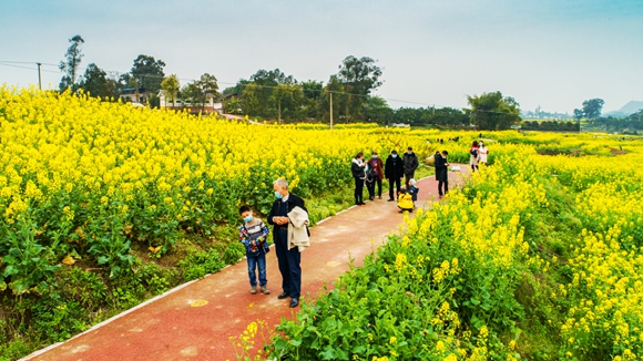 游客在花海里踏青。廖濤 攝