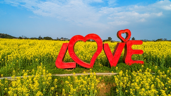 “l(fā)ove”創(chuàng)意拍照墻。廖濤 攝