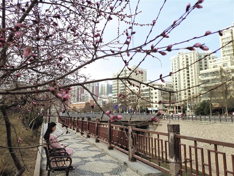 蘭州“第一朵花”開了！