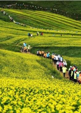 甘肅明確農(nóng)民進城落戶:不以退出承包地、林地等為條件