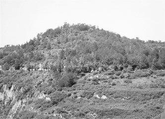 歷史眼丨張果老是正寧人？他與甘肅福緣不淺