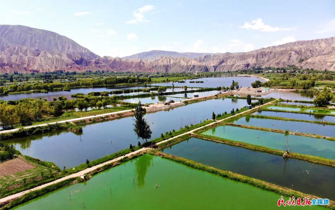 一秒入畫！太極島濕地風(fēng)光秀麗