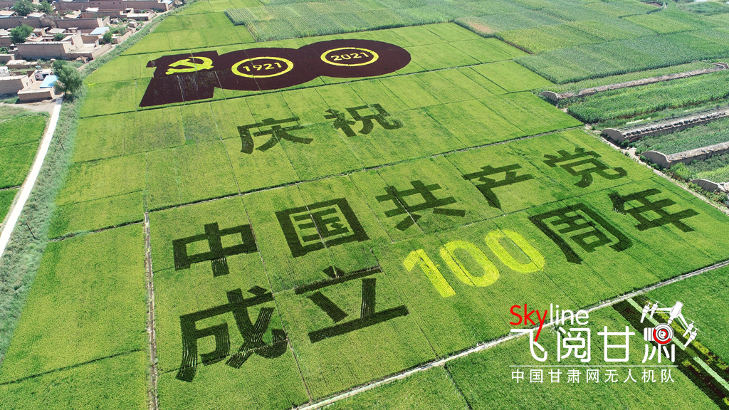 【甘肅省“100系列”獻(xiàn)禮建黨百年】物華天寶潤(rùn)隴原·靖遠(yuǎn)瓜園村：稻田“作畫(huà)”獻(xiàn)禮建黨百年
