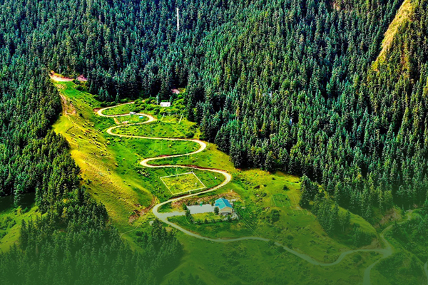 海報(bào)|祁連山保護(hù)區(qū)生態(tài)環(huán)境問題整改全面完成！