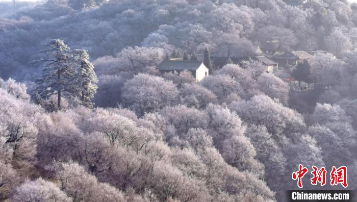 圖為霧凇美景?！⌒煺袢A 攝