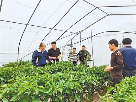 【新春走基層 走郵路 看新局】產業(yè)興 農民富 鄉(xiāng)村美