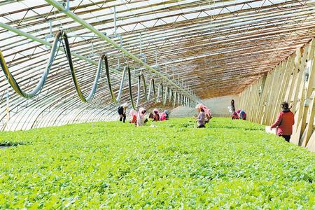 產(chǎn)業(yè)興 鄉(xiāng)村美 農民樂——甘肅省深耕“三農”繪就鄉(xiāng)村振興新畫卷