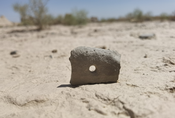 插圖1：河西走廊上遺存的古陶片。攝影：陳曉斌。拍攝日期：2020年6月。