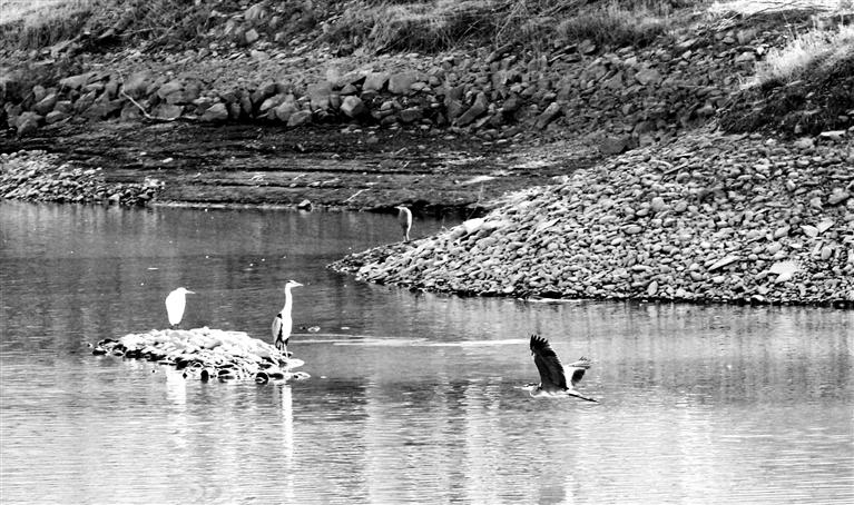 白銀國家雪上項目訓(xùn)練基地收到中國殘疾人體育代表團(tuán)的感謝信