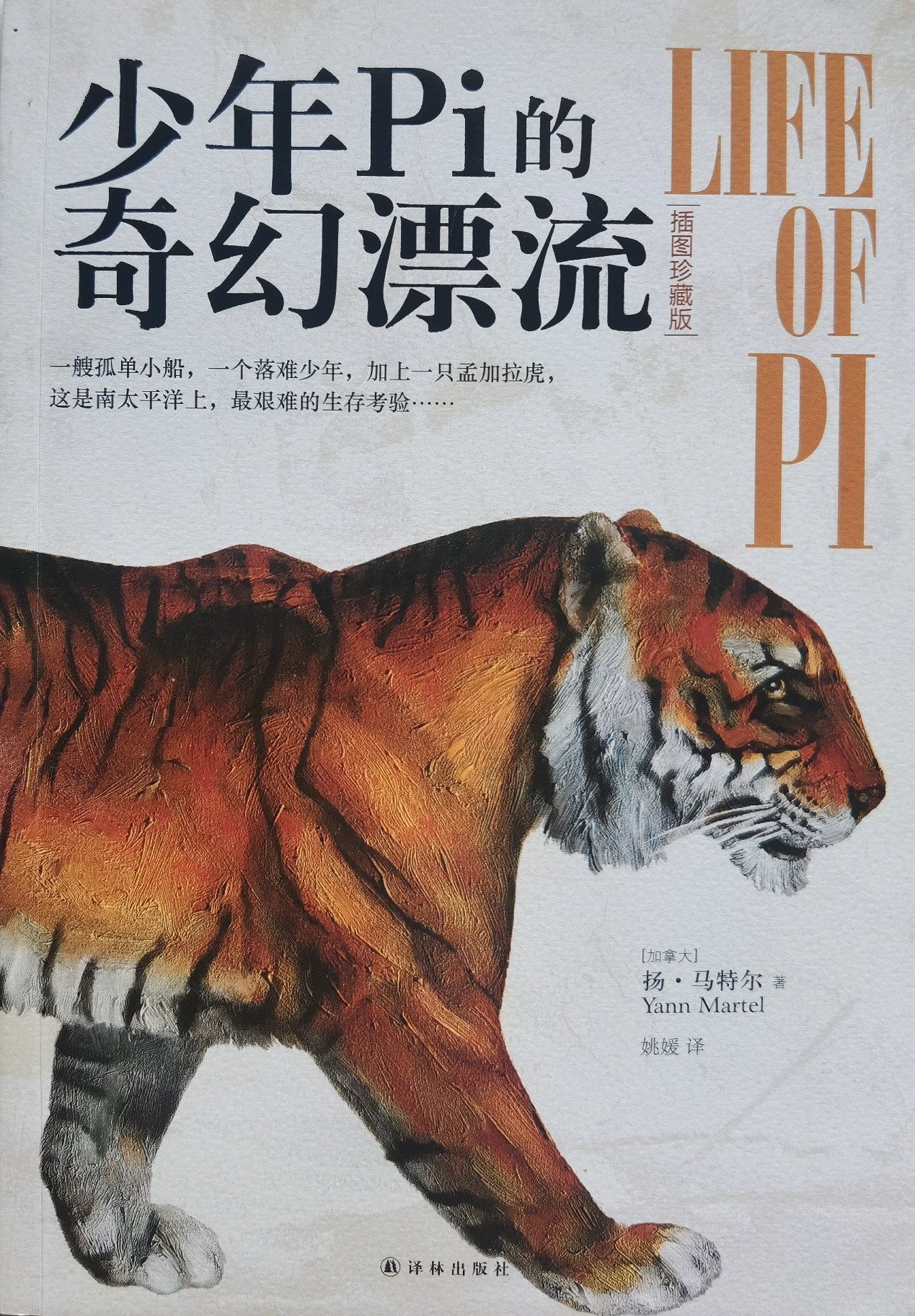 插圖1：揚？馬特爾的小說《少年pi的奇幻漂流》封面
