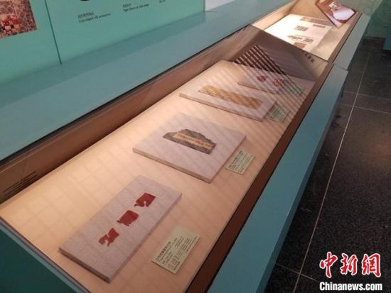 圖為展覽現(xiàn)場?！《鼗脱芯吭汗﹫D