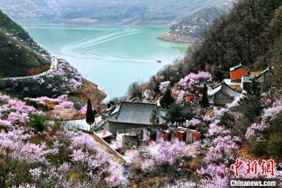 甘肅平?jīng)鍪惺侵袊鴥?yōu)秀旅游城市。圖為平?jīng)鲠轻忌较率锾一ㄊ㈤_。(資料圖) 平?jīng)鍪形麄鞑抗﹫D