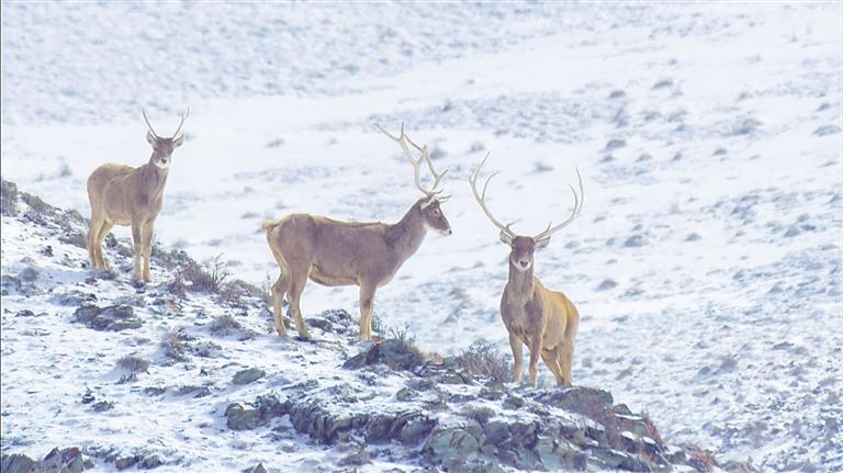 甘肅紀(jì)錄片——深入現(xiàn)實(shí)生活 抒寫時代變化