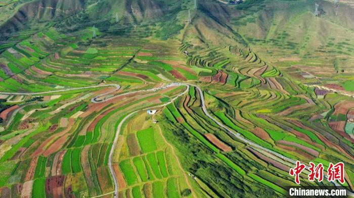 秋日里，榆中縣馬坡鄉(xiāng)千畝梯田，不同農(nóng)作物漸趨成熟，呈現(xiàn)出多種色彩，宛若大地的“調(diào)色盤”?！圆?攝