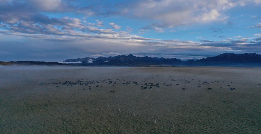 甘肅山丹馬場(chǎng)：峽谷云霧似仙境。 王超攝