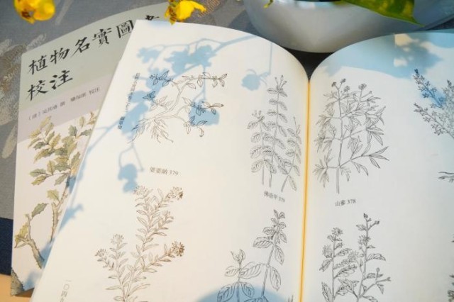《植物名實圖考校注》內(nèi)頁。圖片來源：中華書局供圖