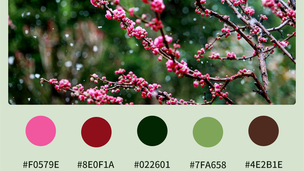 微海報|收藏！色卡里的春日甘肅