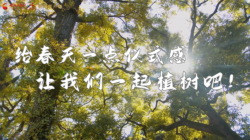 短視頻|給春天一點儀式感，讓我們一起植樹吧！
