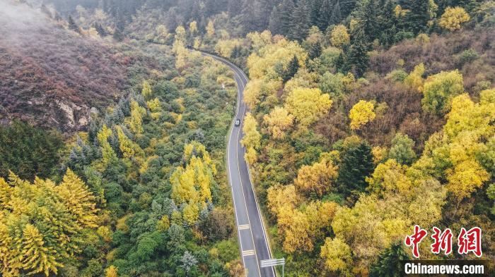 深秋，航拍位于蘭州市榆中縣的興隆山，景色如畫。金峯 攝</p>
<p>