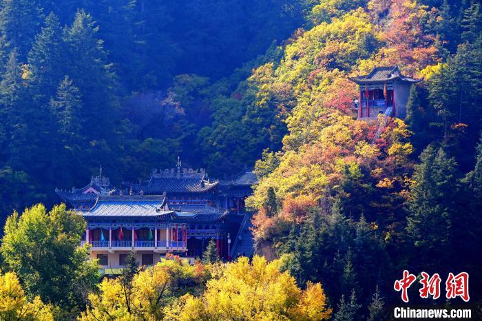 深秋，位于蘭州市榆中縣的興隆山景色如畫。宮衛(wèi)紅 攝