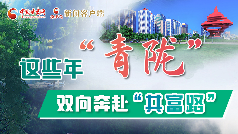 【江河奔流·青隴協(xié)作譜新篇】這些年，“青隴”雙向奔赴“共富路”