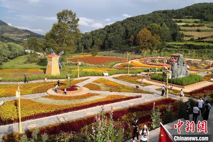 圖為航拍甘肅甘南臨潭縣八角鎮(zhèn)，花海吸引游人。(資料圖)高展 攝