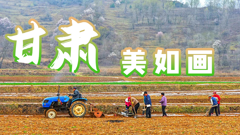 微海報(bào)|甘肅，美如畫(huà)