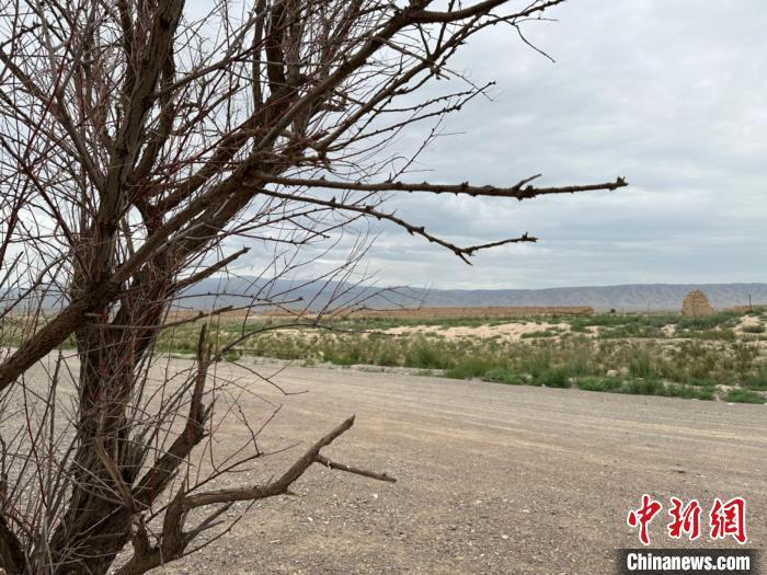 圖為位于長城墻體上的“馬面”或“敵臺”。　戴文昌 攝