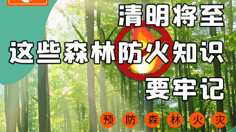 【甘快看】圖解|緊繃“安全弦”！清明，這些森林防火知識要牢記